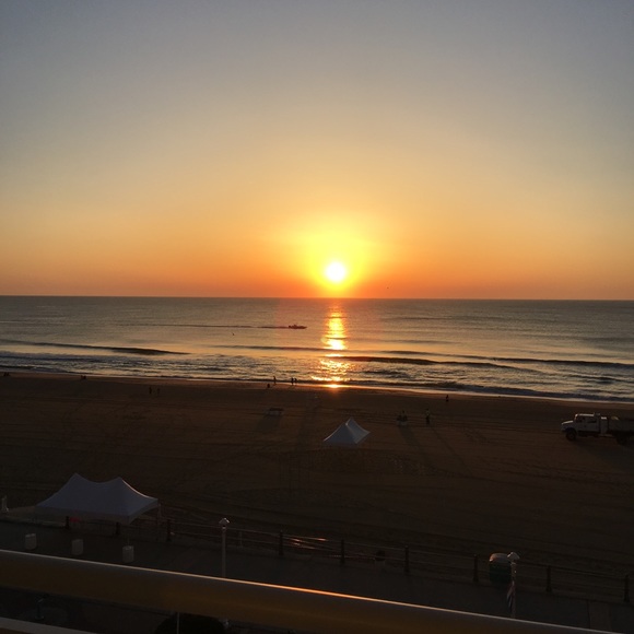 Meet your Posher, Carly - Picture 1 of 1